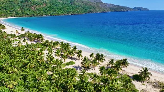 Tropical idyllic paradise island of Samana, Rincon beach, Dominican Republic. Green palm leaves move in the wind. Exotic, wild palm beach. Beach travel concept. Paradise island with palm trees.
