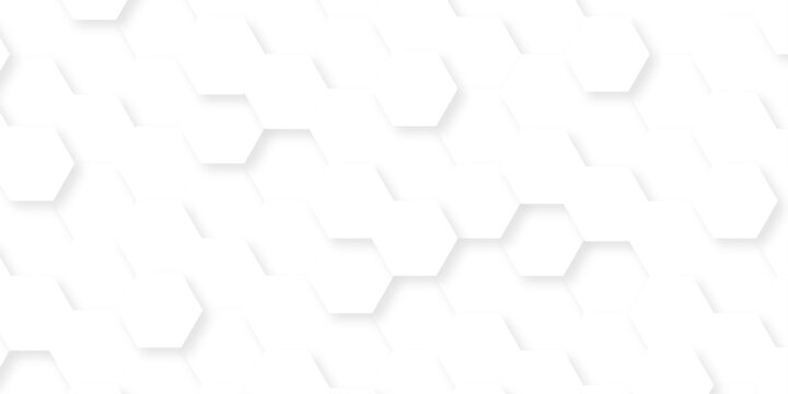 White paper grid presentation hexagon mosaic wall decoration tiles. minimal tech bee website science element grid overlay white hexagon futuristic technology honeycomb texture background.