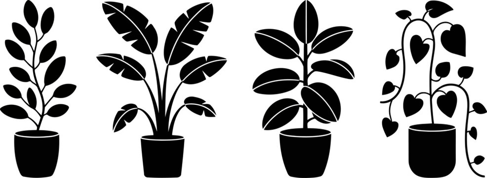 Four distinct black silhouette potted houseplants arranged side by side on a white background, showcasing varied leaf