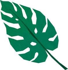 Stylized Green Monstera Leaf Illustration, Textured Tropical Botanical Graphic Isolated on Transparent Background © Timothy