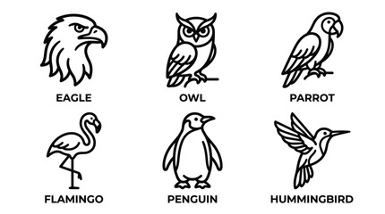 Obraz premium Birds including eagles, owls, parrots, flamingos, penguins, and hummingbirds are featured in this set of six line art icons.