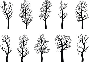 Obraz premium Leafless Tree Silhouette Collection Set, Bare Winter Forest Trees with Detailed Branches Vector Illustration