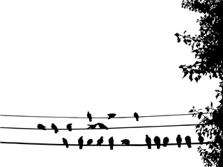 A black and white illustration of birds on a wire. © Tassya