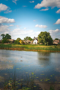 calm river landscape with water lilies and village houses on sunny day