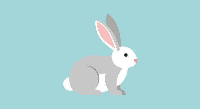 Cute Grey and White Rabbit Sitting.