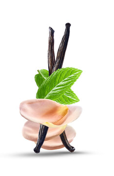 Mint leaves with vanilla stick and rose petals on white background