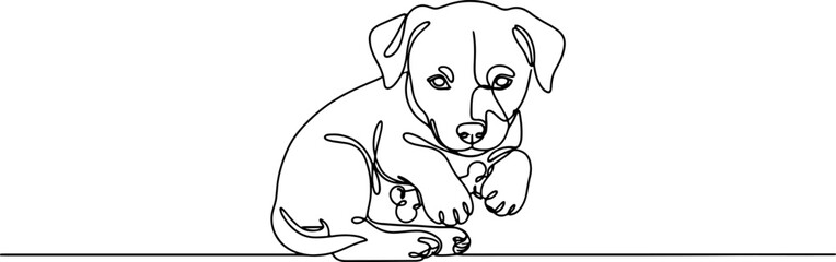 Fototapeta premium 241_A puppy with a small toy_traced