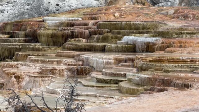 Mound Spring and Jupiter Terrace, Mammoth Hot Springs, Yellowstone