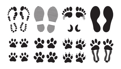 Fototapeta premium Set of diverse footprints including human barefoot and various animal paw prints for creative design.