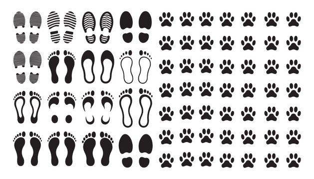 Paw prints and human footprints vector icon set animals and people walking traces.