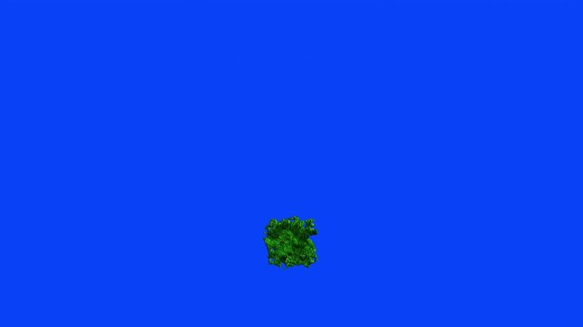 Grass texture dot symbol animation with blue screen.