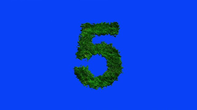 Number animation with grass texture on blue screen.