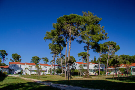Zaton Holiday Resort in Croatia with appartments and big trees