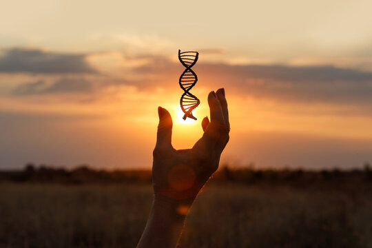 Holding the essence of life