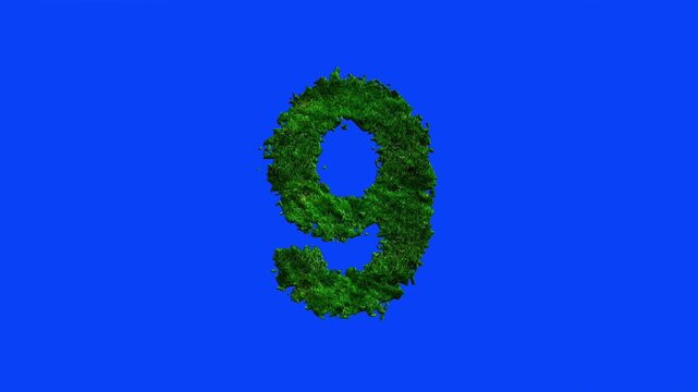 Number animation with grass texture on blue screen.