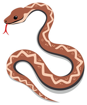 Cartoon snake with tongue out, illustrated reptile, wildlife graphic