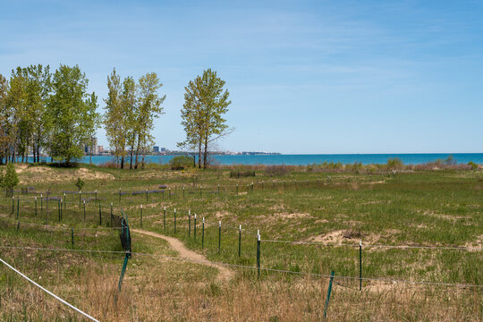 Lake Michigan shoreline with sandy grassy dunes and a fenced pathway through a coastal landscape