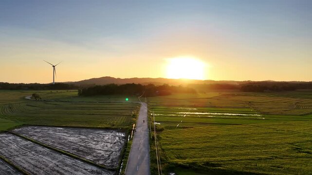 Aerial drone view of a single white wind turbine beside a straight rural road through flat green rice paddies in golden sunset light, San Lorenzo Wind Farm, Guimaras, Philippines.