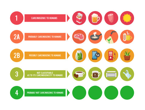 IARC Carcinogen Classification Groups infographic. Carcinogenicity categories with examples. Vector hand drawn illustration.
