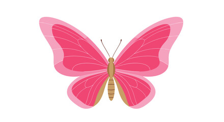 Beautiful pink butterfly with symmetric wings and dark patterns is illustrated from a top-down view for nature projects. © Fathya