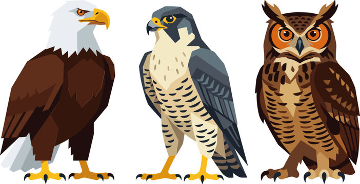 Geometric Birds of Prey Vector Set Featuring Bald Eagle, Peregrine Falcon, and Great Horned Owl Flat Illustrations for Nature Branding
