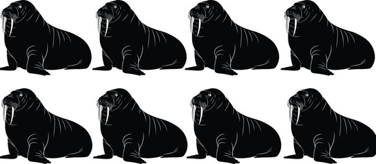 Black silhouette of walrus silhouettes in a row, flat vector illustration set isolated on white background for nature and arctic wildlife cad drawing © RIPON