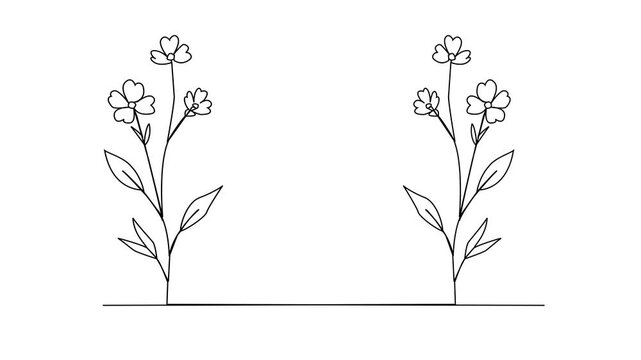 Continuous one line drawing of double flowers border, with minimalist black stroke on white background, abstract self drawing linear animation loop of decorative botanical icon. 4k video