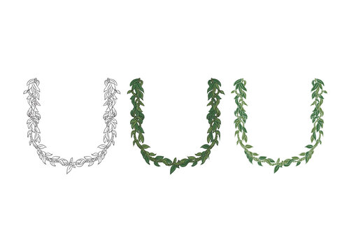 Traditional Hawaiian Ti Leaf Lei Necklace Vector Illustration, Tropical Green Leaf Garland Set