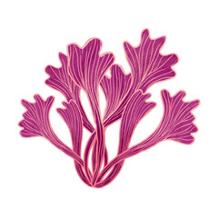 graphic resource illustration: aquatic plants and coral reefs © Hanifiana