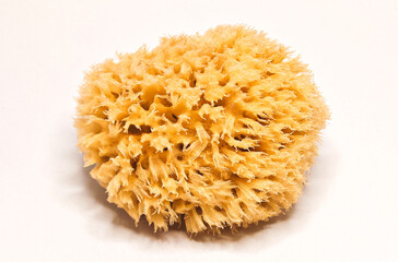 Fototapeta premium Natural sea sponge isolated on white background