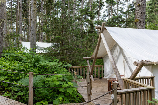 The forest with Glamping tents in Haida Gwaii
