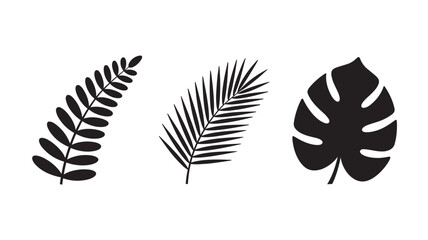 Fototapeta premium Tropical Leaves Silhouette Set Featuring Monstera, Palm, and Fern Leaf Icons Isolated on White Background