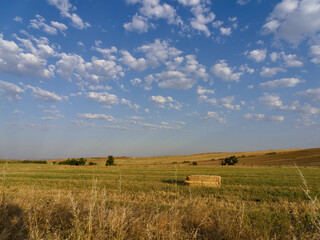 Fototapeta premium Wide open field with bales of hay under a cloudy sky in the afternoon light near a rural area