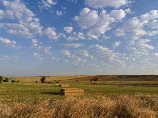 Naklejka premium Wide open fields with golden hay bales under blue skies and white clouds in a rural area during the afternoon of summer season