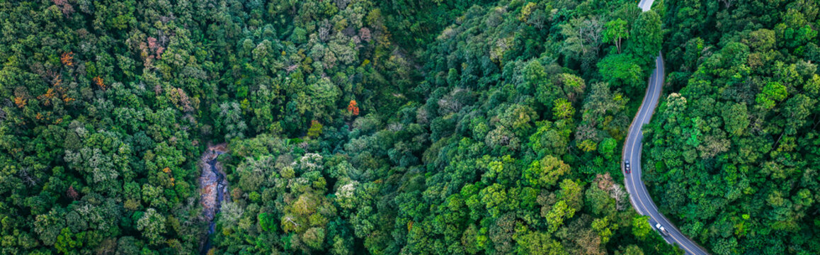 Aerial forest road surrounded by dense greenery representing sustainable mobility, ESG principles, and eco friendly infrastructure. Ideal for finance, environment, and corporate backgrounds.
