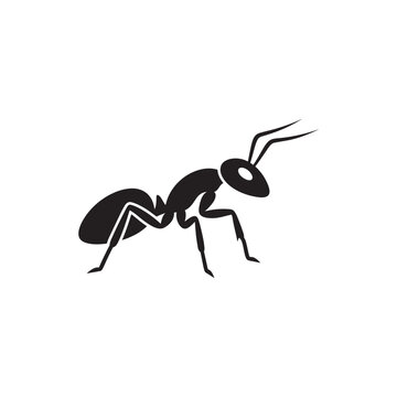Black ant icon representing a small insect for nature design projects