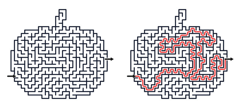 Pumpkin maze outline with red path illustrating solution journey  