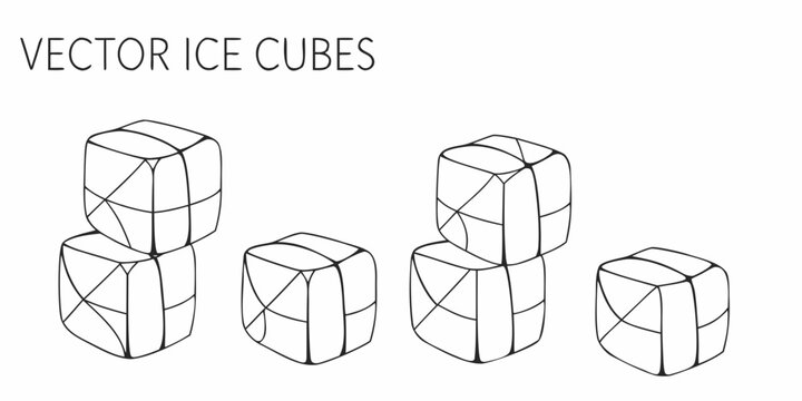 Vector Ice Cubes Minimalist Line Art Sketch On White Background