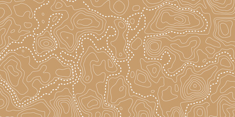 Topographic map and landscape terrain texture grid. vector seamless pattern. fabric , packaging , web, geographic grid map vector illustration. © Noor