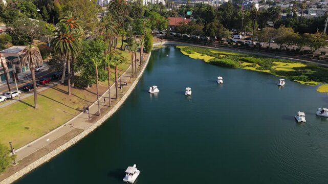 Echo Park lake featuring pedal boats navigating calm waters, downtown Los Angeles skyline, majestic palm trees, and lush green grass