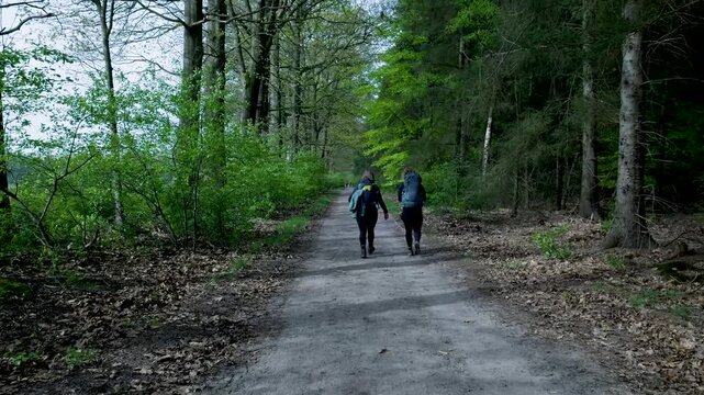 Two hikers walking on a path in a lush green forest