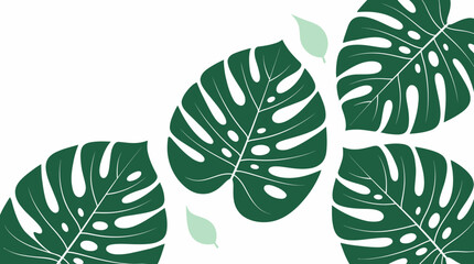 Fototapeta premium Green Monstera leaves are arranged on a table with smaller leaves.