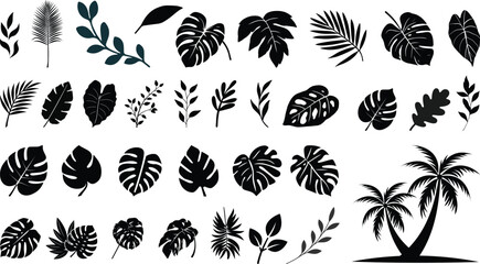 Collection of black silhouettes of tropical leaves and exotic foliage isolated on a white background featuring various palm fronds monstera leaves and botanical plant shapes © MR Vector Store