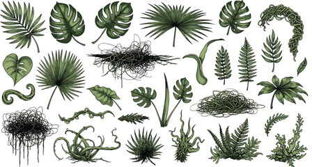 Tropical jungle leaves and exotic foliage elements collection set with monstera palm fern branches and vines isolated on white background vector illustration © Kulsum