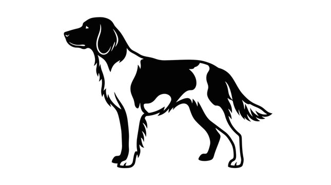 Silhouette of a black and white hunting dog in profile view