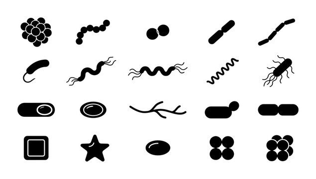 Microscopic bacteria types icon set, 20 black vector microbe silhouettes, biological pathogen and virus cell shapes for medical research