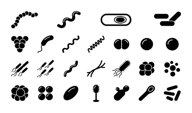 Bacterial morphology icon set, microbiology cell types and pathogen shapes vector collection, 28 black silhouette microbe symbols for science