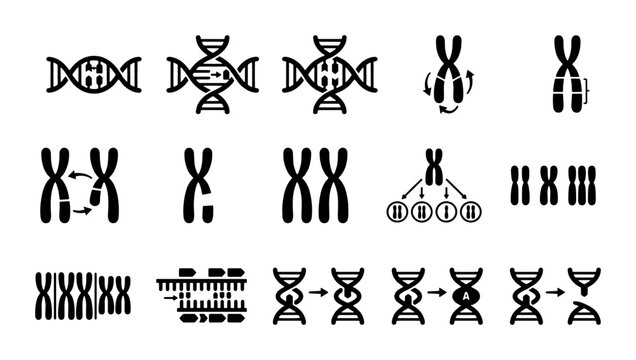 Scientific DNA and chromosome icon set, genetic mutation and helix vector symbols, biology research and biotechnology laboratory elements