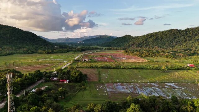 Aerial drone view of dense tropical forest canopy covering a steep hillside, with a sliver of agricultural land and structures at the base under evening light, Barotuan, El Nido, Palawan, Philippines.
