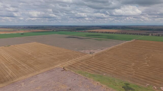 Vista a&eacute;rea de campo cultivado en un d&iacute;a soleado. Paisaje rural, siembras y naturaleza desde dron